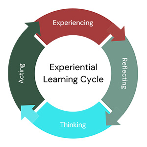 The image depicts the Experiential Learning Cycle, which is represented as a circular flowchart. At the center of the cycle is the text "Experiential Learning Cycle." Surrounding this central circle, there are four arrows arranged in a continuous loop, each labeled with a phase of the cycle. Moving clockwise, the arrows are labeled experiencing, reflecting, thinking and acting. The arrows indicate the cyclic and iterative nature of experiential learning, suggesting that learning occurs through a repetitive process of experiencing, reflecting, thinking, and acting.